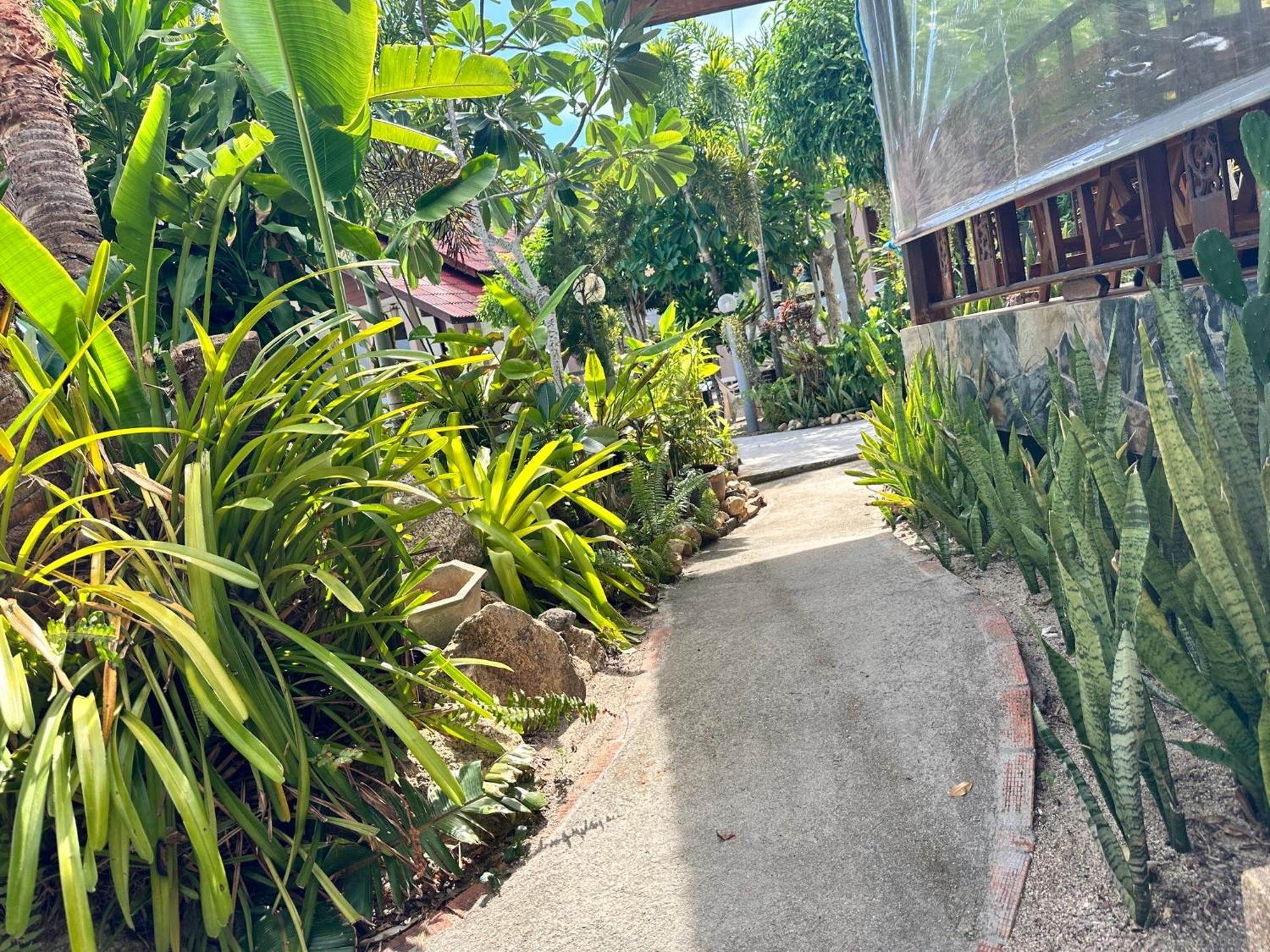 Phangan Lodge Baan Tai Exterior foto
